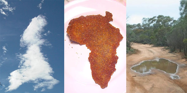 accidental_maps.jpg