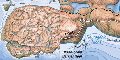 brainland.jpg