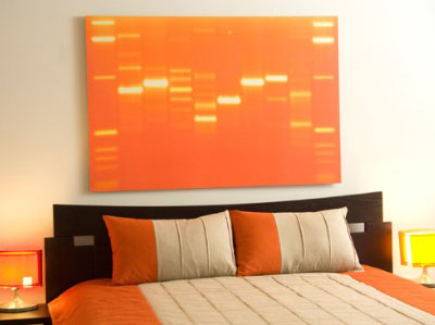 dna11_present.jpg