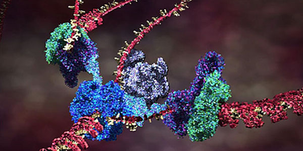 dna_coiling.jpg