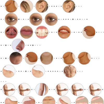 fleshmap2.jpg