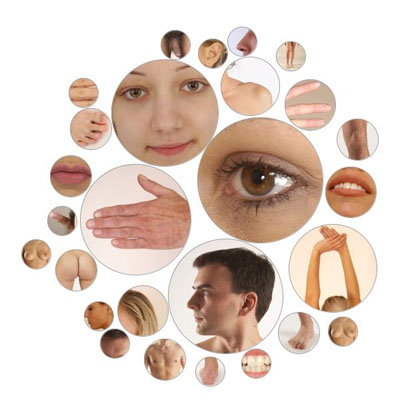 fleshmap3.jpg
