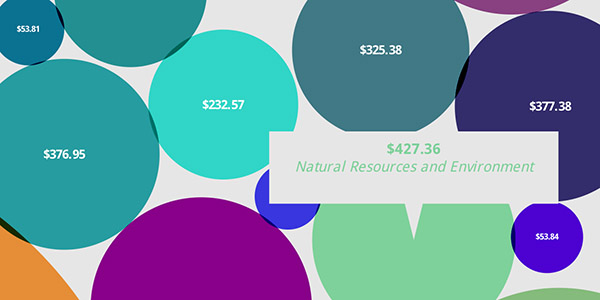 google_data_viz_challenge.jpg