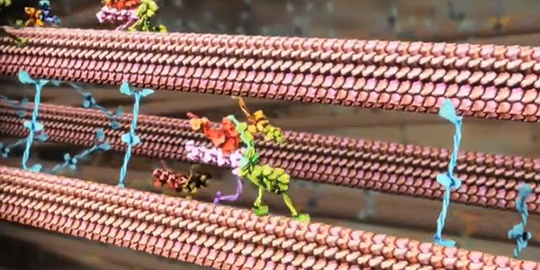 molecular_visualization_tedx.jpg