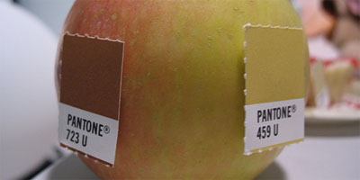 pantonecolor.jpg