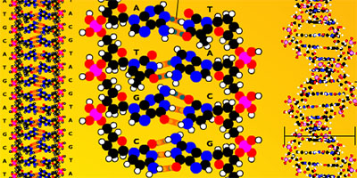 scienceinfographics.jpg
