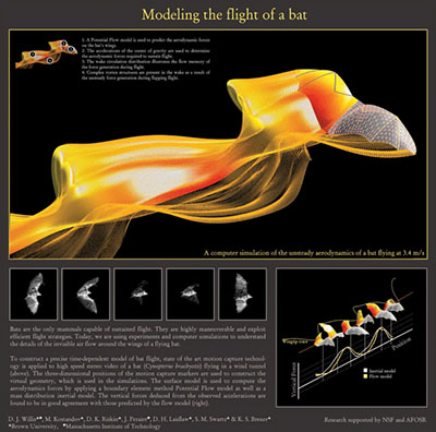 visualization_2007b.jpg