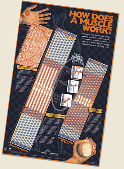visualization_2007c.jpg