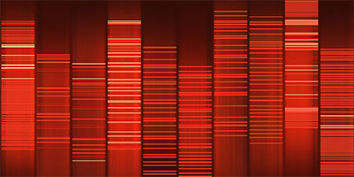 web2dna.jpg