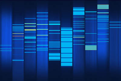 web2dna2.jpg
